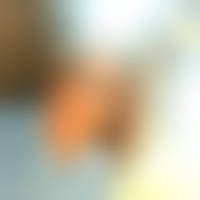 Vetiver