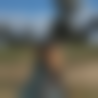 Torvicotor