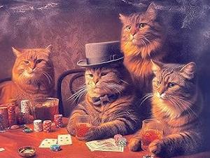 Tournoi de belote P�p�re