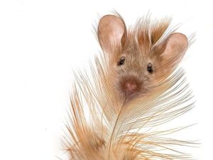 La Source (Initiation🤗) 