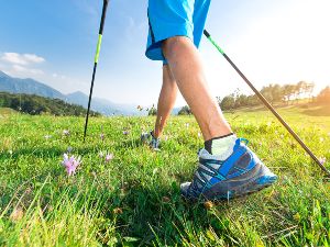 Marche soutenue Sorgues