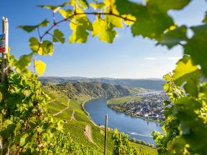 Mosel Radweg 