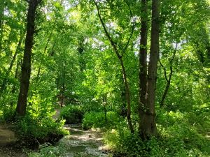 Marche  Ham Sur  Sambre 