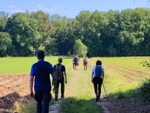 Marche autour de Bal�tre- St.Martin