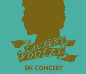 Concert Laurent Voulzy z�nith de Caen