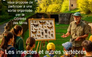 Les insectes et autres vert�br�s