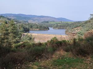 Rando p�destre