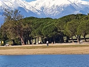 Marche rapide autour du lac