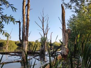 Marche RAVEL de Bambois + Petite boucle dans Bois