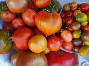 March� nature et artisanat