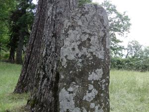 La voie royale de Fontmort
