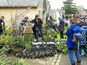 March� aux plantes