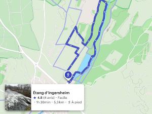 Marche autour de l'�tang d'Ingersheim