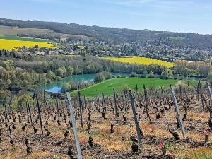 Rando en boucle � Saacy sur Marne - 19 km
