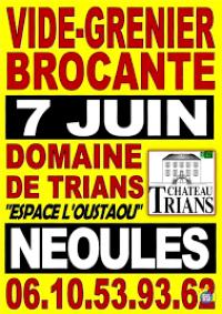 Vide grenier Domaine de Trians