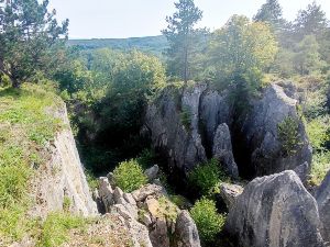 Journ�e  D�tente Viroinval  Nimes 