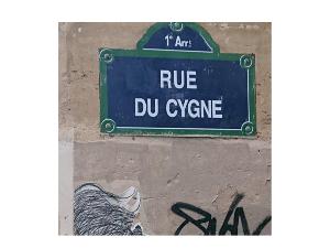 La Mort Du Cygne- restitution d'un atelier Theatre