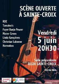 Country - Rock - Folk   Sc�ne ouverte � Pizay 01 
