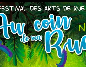 Festival au coin de ma rue Romill�