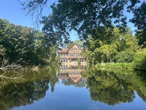V�lo en foret  77 