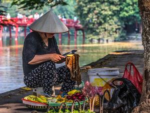 Vietnam du Nord au Sud