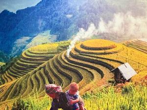 Immersion au Vietnam