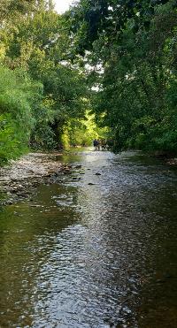Marcher dans l'eau � Suze-la-Rousse 