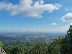 Le vieil Armand ou Hartmannswillerkopf   
