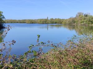 Marche tranquille aux p�tures