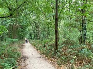 Marche dans le Bois de Vincennes