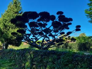 Boucle en fractionn� � 10, 12 ou 14 km