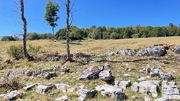 Une balade sur le plateau de Retord