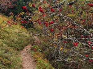Marche adeps � Erpent 