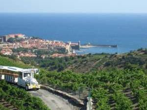 Le petit train touristique  Collioure