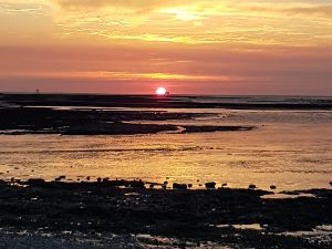 Pique nique La Rochelle 