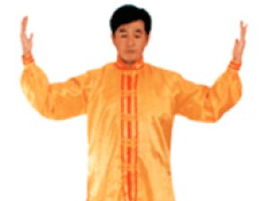 Qigong-Mditation : Lyon-parcTted'Or_DH (S, 1h 30