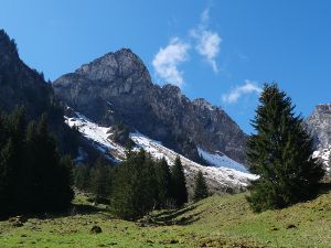 Rando au  col de Bassachaux depuis Abondance