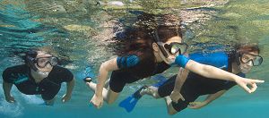groupe snorkeling , randonne palme, PMT