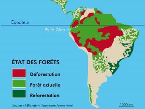La dforestation en Amazonie