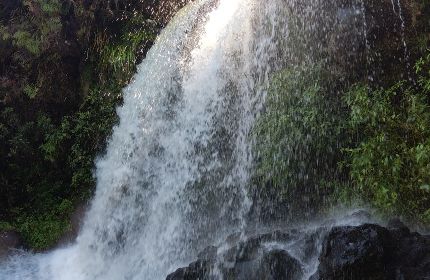 sortie canyoning Bras des Lianes