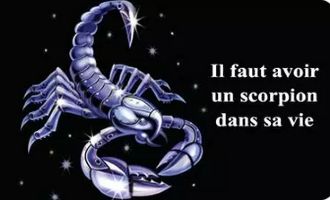 Boire un verre entre natifs du scorpion