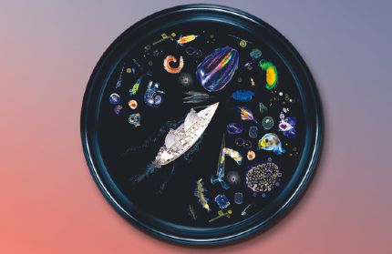 Microbiome marin : le peuple invisible de locan