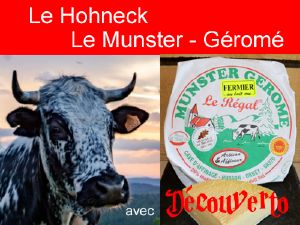 Source de la moselotte - Hohneck / Munster-Grom