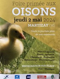 Foire aux Oisons Martizay (36) 