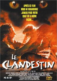 Le Clandestin (1988) au Shark poule