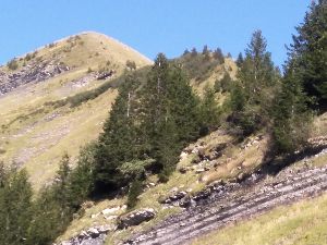 Croisse Baulet et la Miaz en boucle depuis le Plan