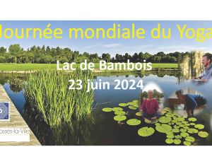 Journe mondiale du yoga au Lac de Bambois