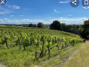 Randonne sur la commune Soulaines sur Aubance