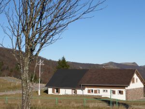 Mittlach au Hahnenbrunnen