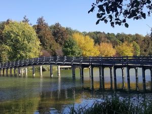 Marche ou Footing Tous Niveaux mme Dbutants 